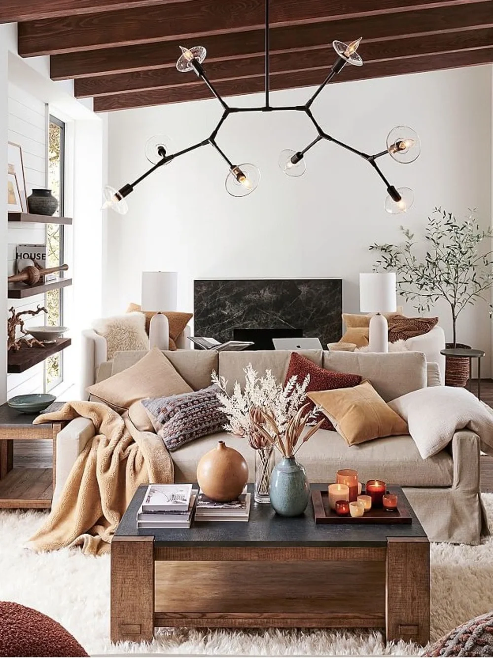Pottery Barn Shearling Faux Fur Throw